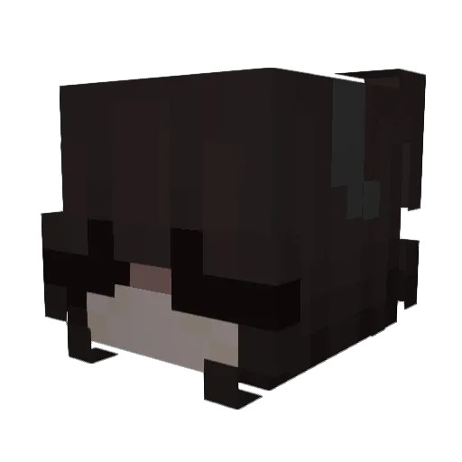 2KRae Minecraft avatar head, 3D render