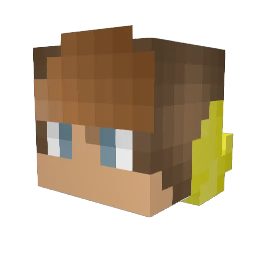 2Killerbees Minecraft avatar head, 3D render