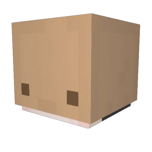 2Lyang Minecraft avatar head, 3D render