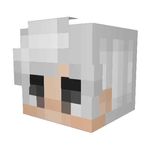 2Mr_Nobody3 Minecraft avatar head, 3D render