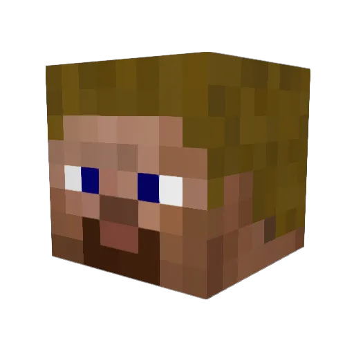 2Nett Minecraft avatar head, 3D render