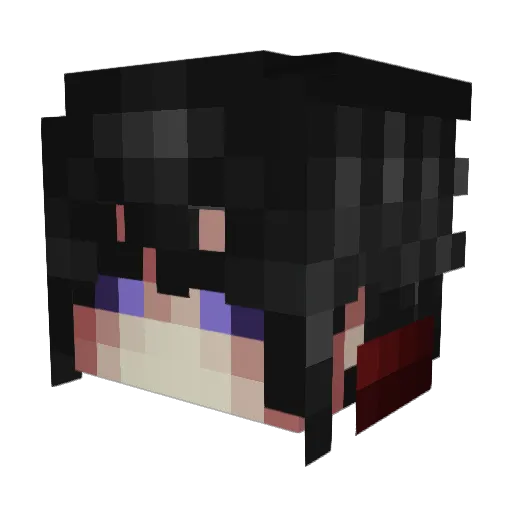 2O4 Minecraft avatar head, 3D render
