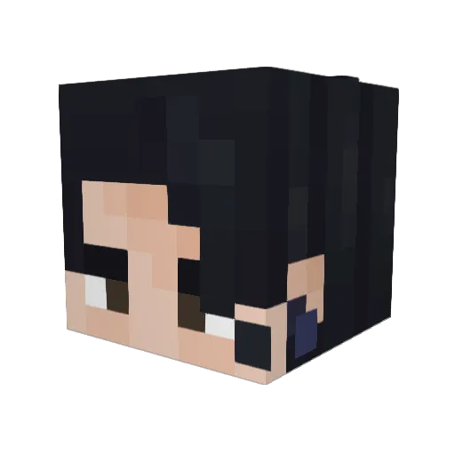 2Skipper Minecraft avatar head, 3D render