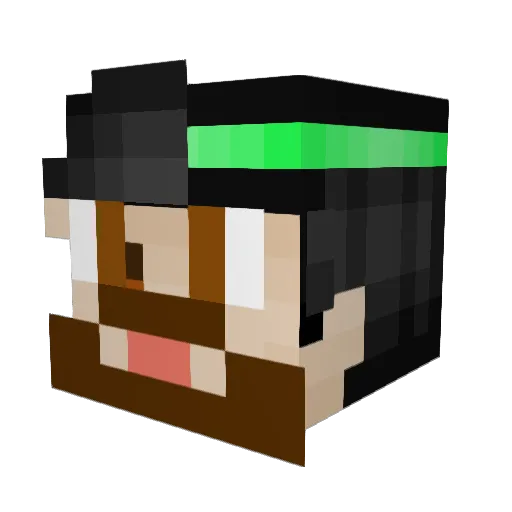2Slaw Minecraft avatar head, 3D render