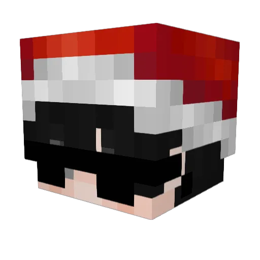 2Sonic Minecraft avatar head, 3D render