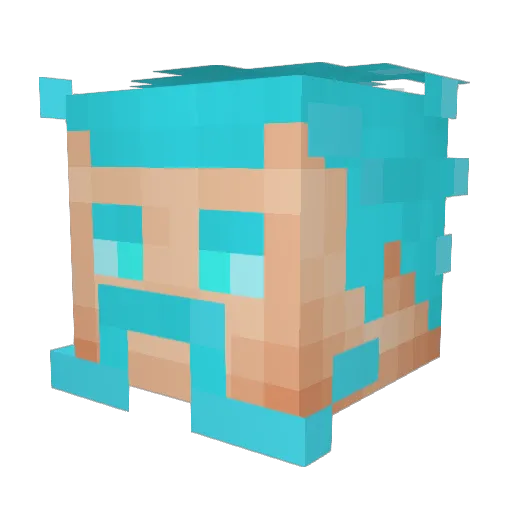 2SpEedY2 Minecraft avatar head, 3D render