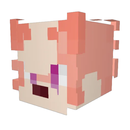 2TBV Minecraft avatar head, 3D render