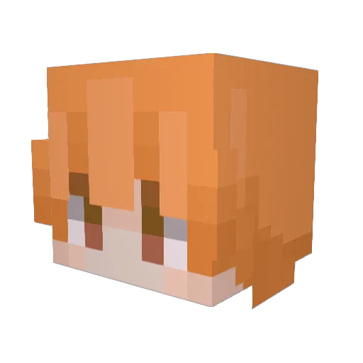 2Tatou4u Minecraft avatar head, 3D render