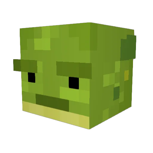 2ToedToad Minecraft avatar head, 3D render