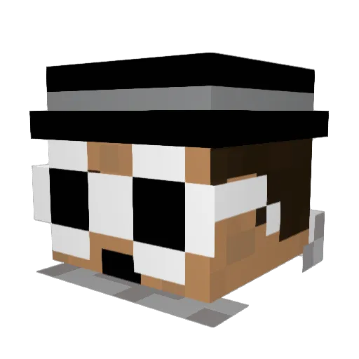 2TryParkour Minecraft avatar head, 3D render