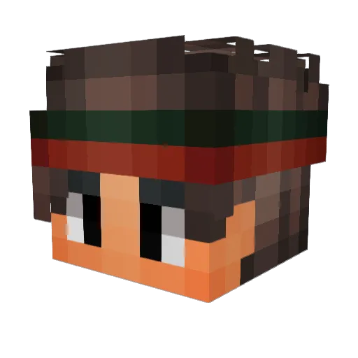 2W2S Minecraft avatar head, 3D render