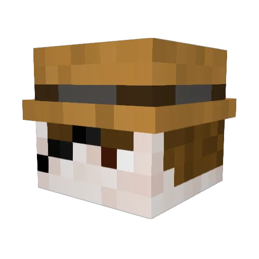 2XTheTapp Minecraft avatar head, 3D render