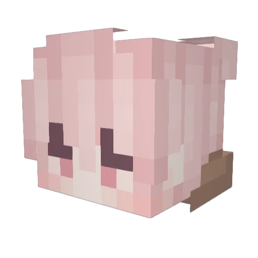 2Yu_ Minecraft avatar head, 3D render