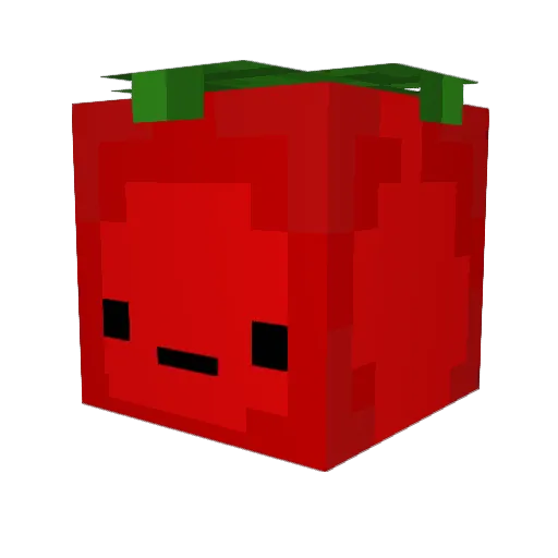 2_ATAKAN_2 Minecraft avatar head, 3D render