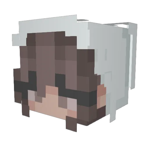 2_Cute_4_U_ Minecraft avatar head, 3D render