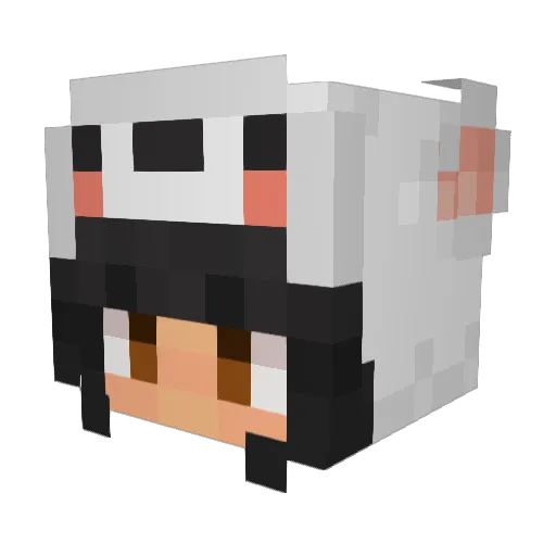 2_Leebex Minecraft avatar head, 3D render