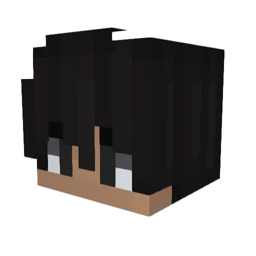 2_NNairoD_2 Minecraft avatar head, 3D render