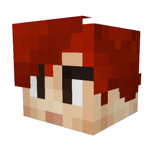 2_soup Minecraft avatar head, 3D render