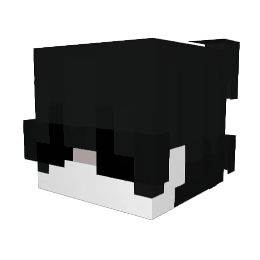 2auy Minecraft avatar head, 3D render