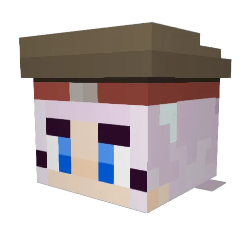 2b0t Minecraft avatar head, 3D render