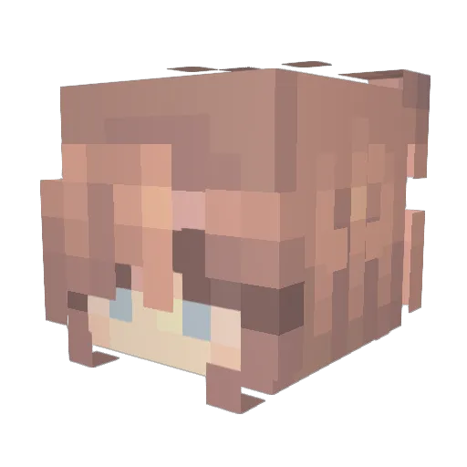 2b2t_tp_bot Minecraft avatar head, 3D render
