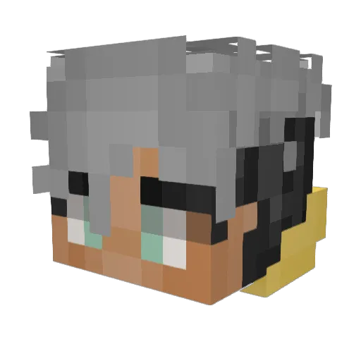 2bad4aName Minecraft avatar head, 3D render