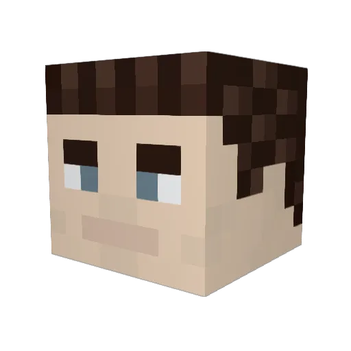 2barkie50 Minecraft avatar head, 3D render