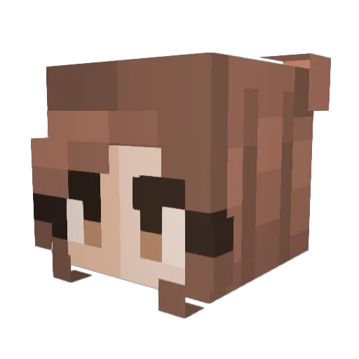 2bb3n Minecraft avatar head, 3D render