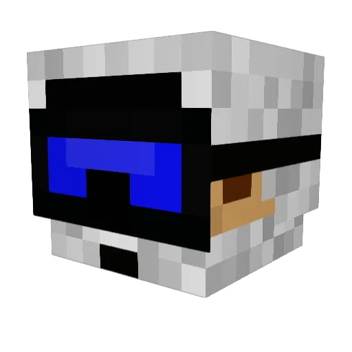 2birdbrained4u Minecraft avatar head, 3D render
