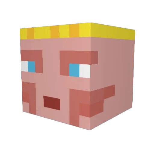 2bla2 Minecraft avatar head, 3D render