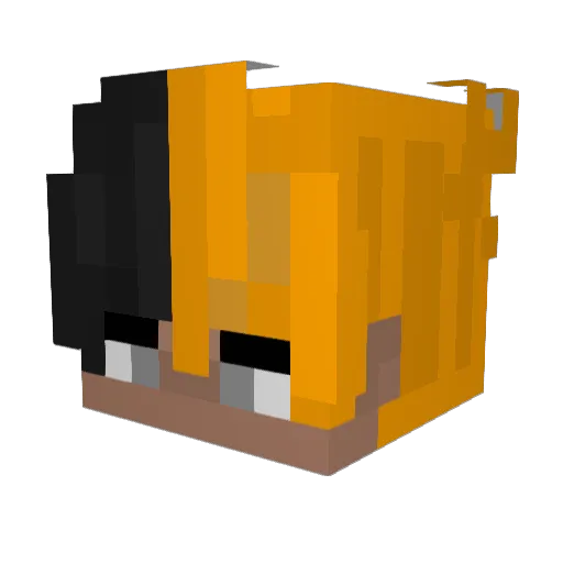 2boulesD1mec Minecraft avatar head, 3D render