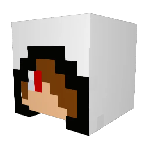 2brokencookies Minecraft avatar head, 3D render