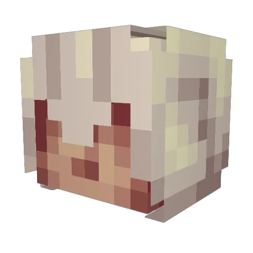 2builders2tools Minecraft avatar head, 3D render