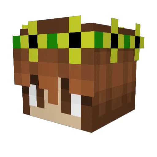 2cher_ Minecraft avatar head, 3D render