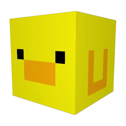 2cool2win Minecraft avatar head, 3D render