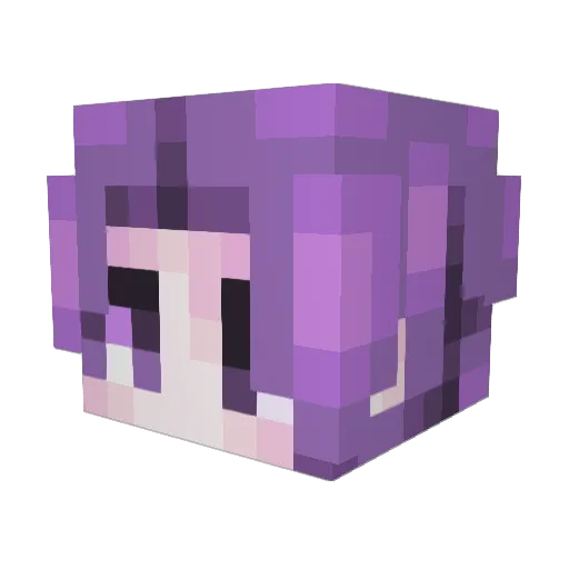 2erupt Minecraft avatar head, 3D render