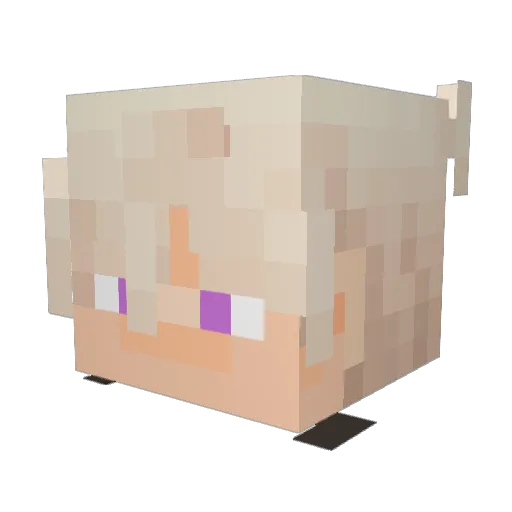 2feg Minecraft avatar head, 3D render