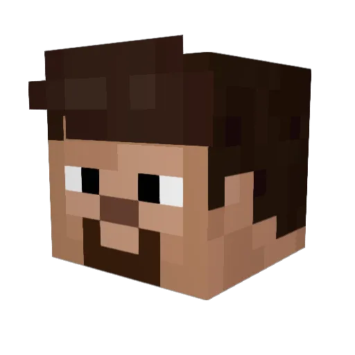 2gals1mug Minecraft avatar head, 3D render