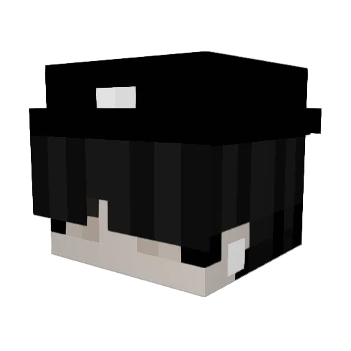 2good2btrue Minecraft avatar head, 3D render