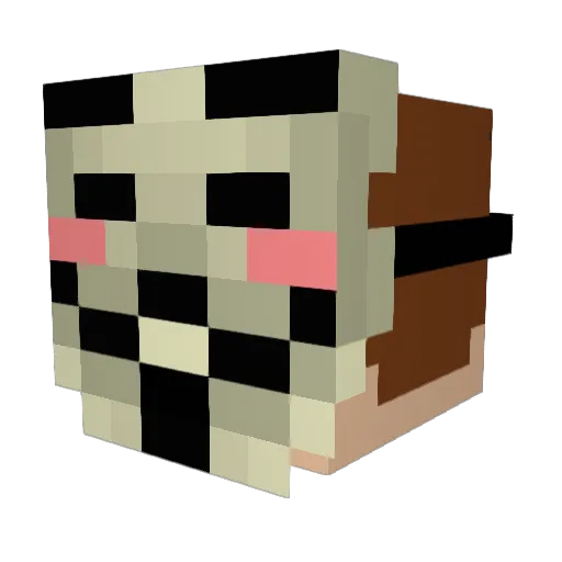 2j1j5 Minecraft avatar head, 3D render