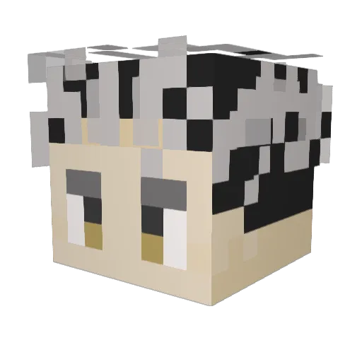 2jae Minecraft avatar head, 3D render