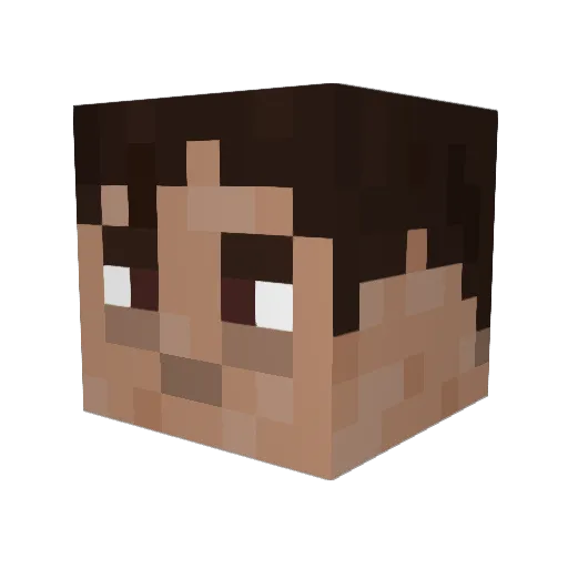 2jay_af2 Minecraft avatar head, 3D render