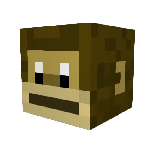 2joker Minecraft avatar head, 3D render
