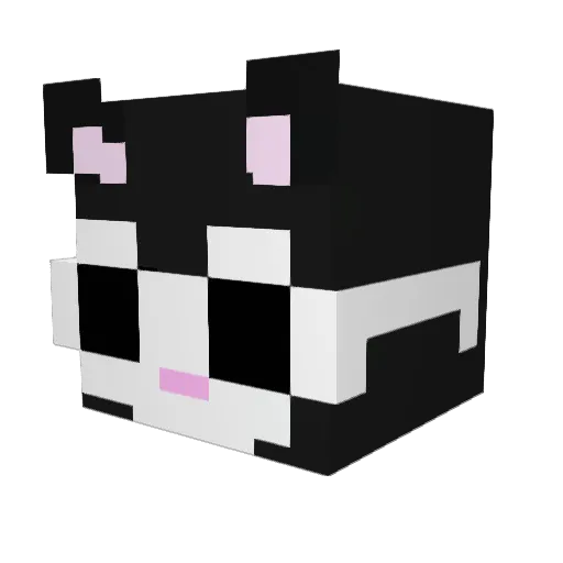 2jzillas Minecraft avatar head, 3D render