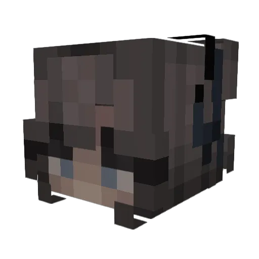 2knn Minecraft avatar head, 3D render