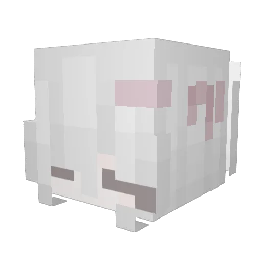2lerr Minecraft avatar head, 3D render