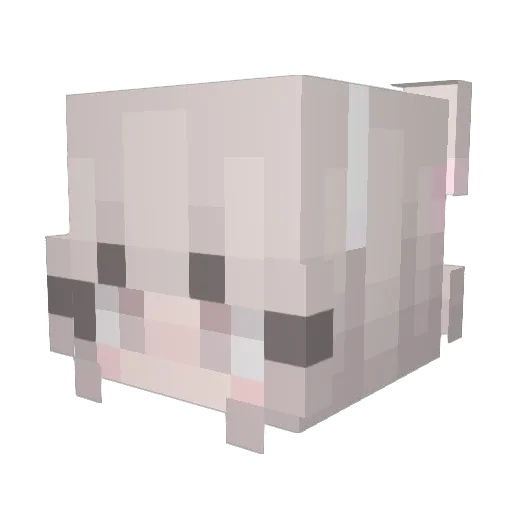 2ndDoll Minecraft avatar head, 3D render