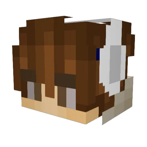2ndnotlast Minecraft avatar head, 3D render