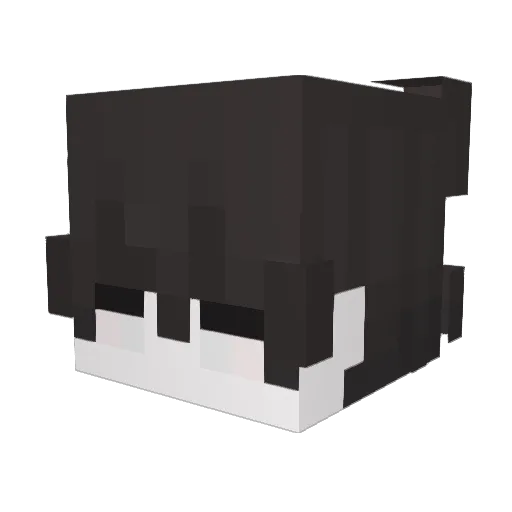 2nine Minecraft avatar head, 3D render
