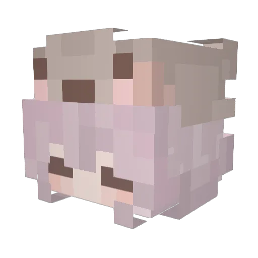 2nlv Minecraft avatar head, 3D render